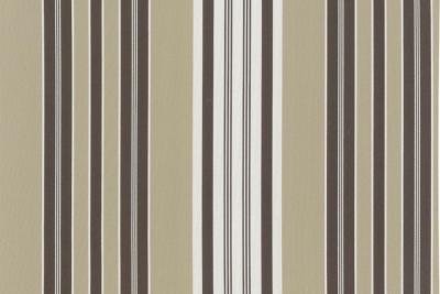 rayure fil teint-30369_002-RUBELLI_TRAFALGAR-Legno