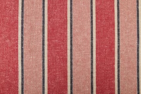 Coton Raye Rapino F652-04