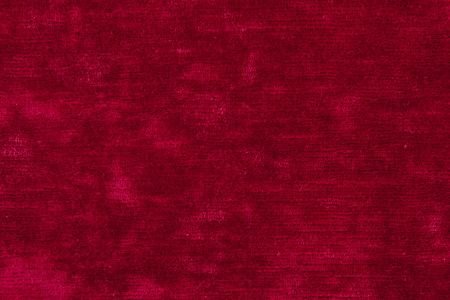 Fuschia
