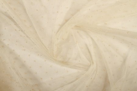 Tulle Brodé Champagne