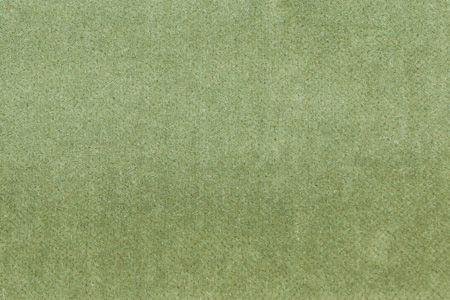 Velours de Coton uni - Les tons Verts